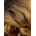 Zury Sis Beyond Synthetic Lace Front Wig BYD LACE H - BEN - KYUKCHIC