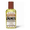 HOLLYWOOD TEA TREE OIL 2OZ - KYUKCHIC 